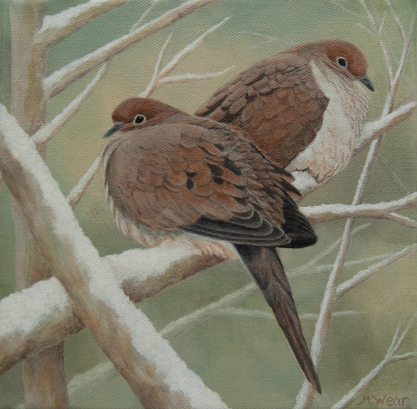 Winter Doves