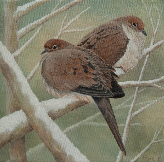 Winter Doves