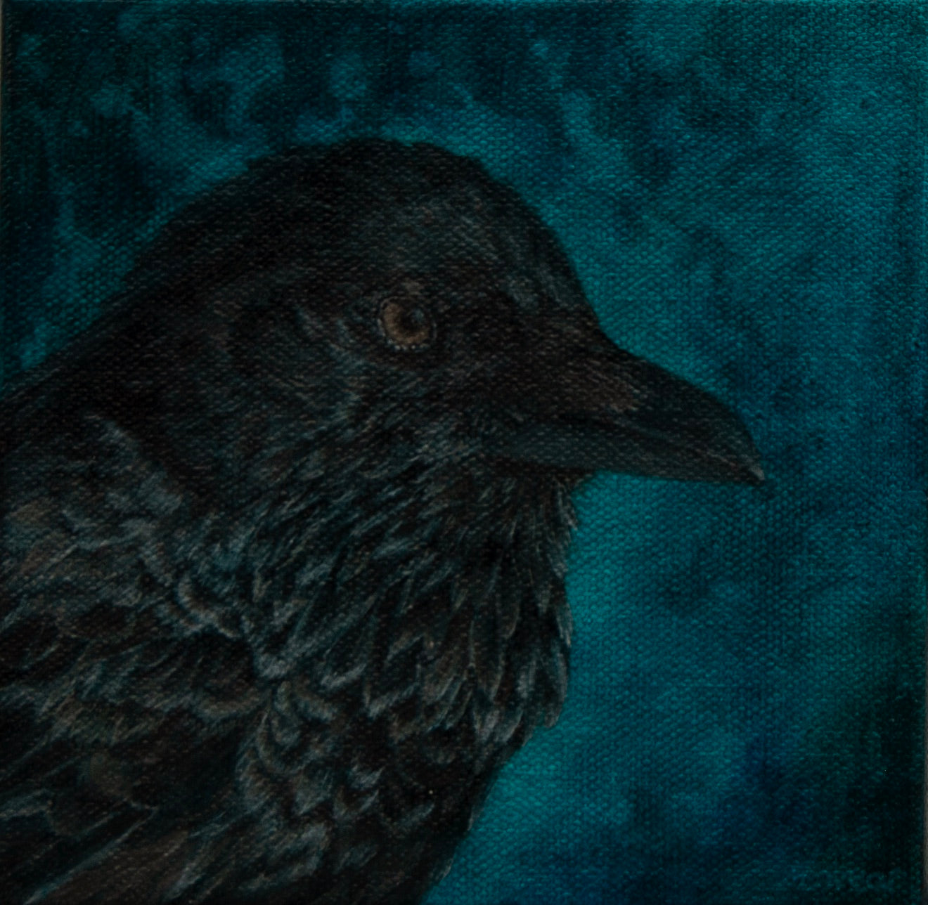Crow    6" x 6"