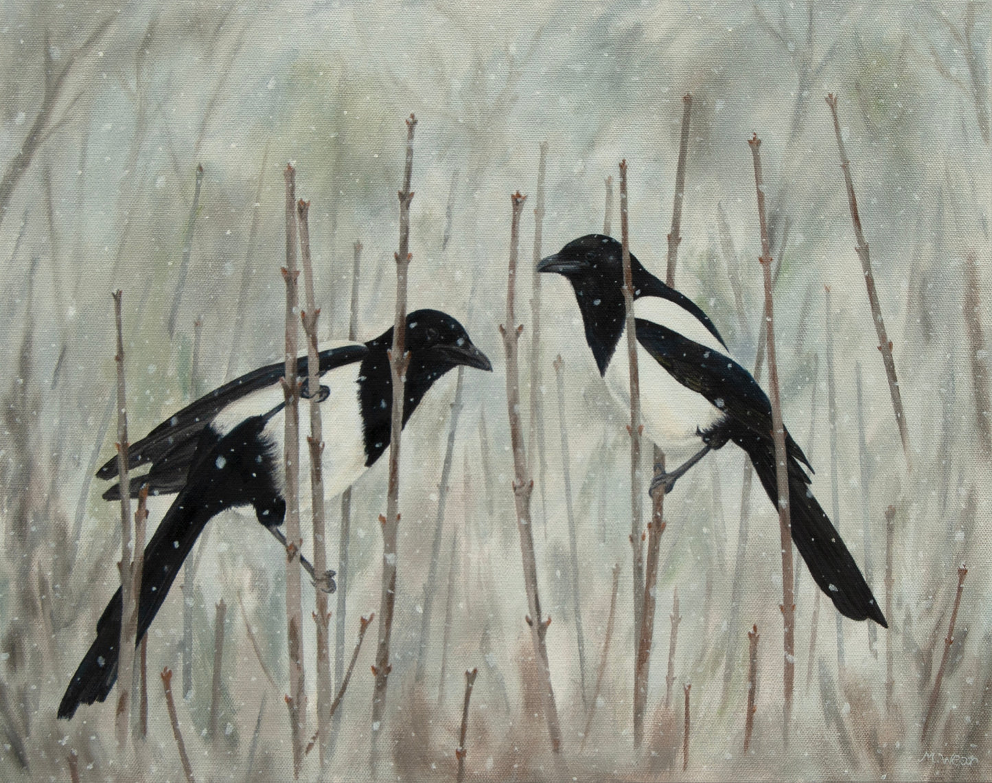 Winter Magpies