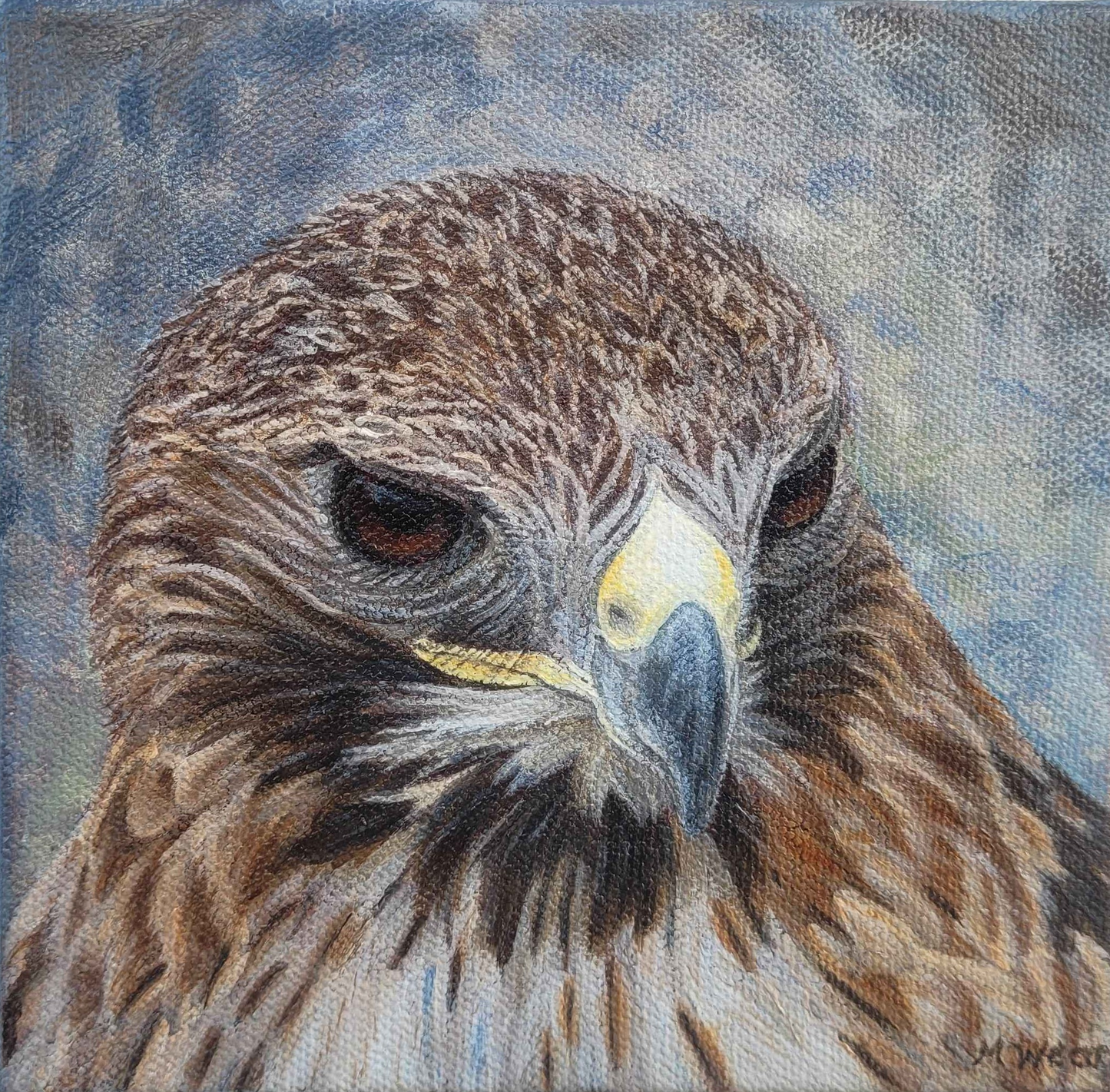 Red Tailed Hawk 6" x 6"