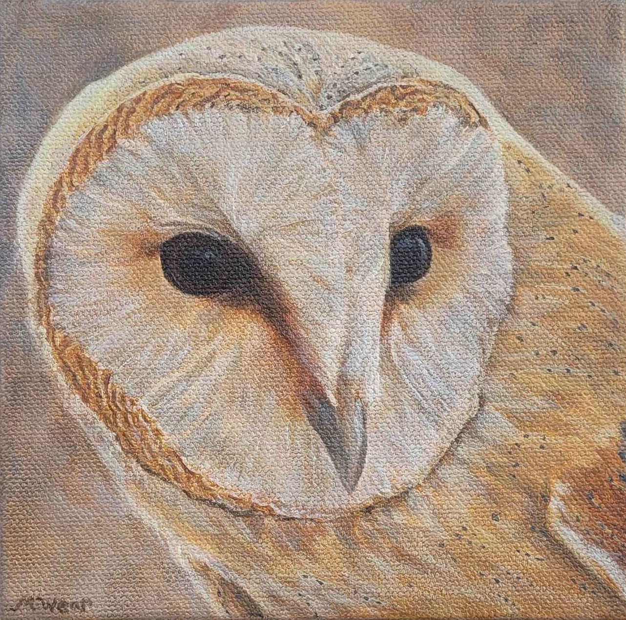 Barn Owl 6" x 6"