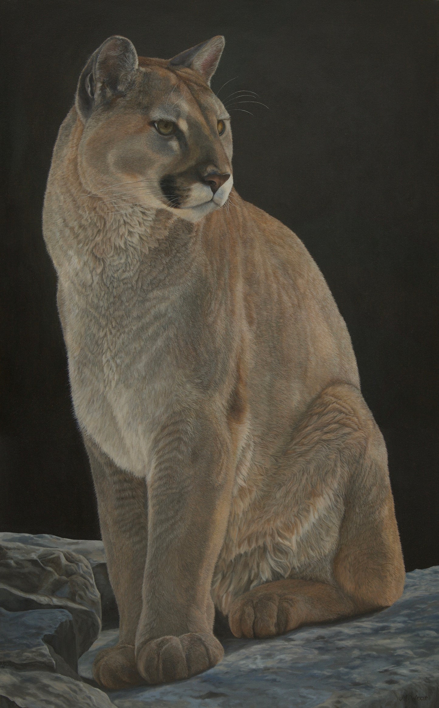 Mountain Lion    30" x 46"